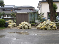 IMGP0366