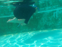 DSCN4194
