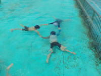 DSCN4282
