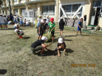 IMG_8549