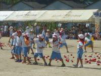 P1180553