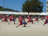 P1180645