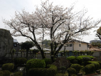 IMGP0536
