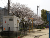 IMGP0538