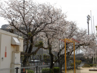 IMGP0539