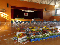 IMGP0833