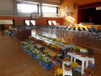 IMGP0834
