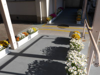 IMGP0836