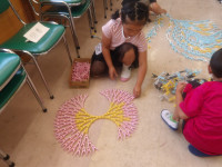 IMGP0801