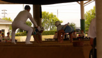 IMGP1121