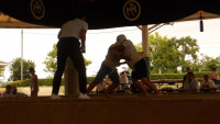 IMGP1131