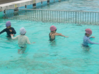 IMGP0125