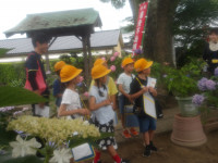 IMGP0204