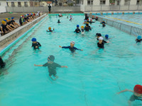 DSCN0385