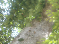 IMGP0026