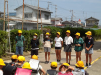 IMGP0602