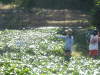 IMGP0463