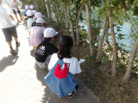 IMGP0298