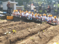 IMGP0681