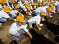 IMGP0691